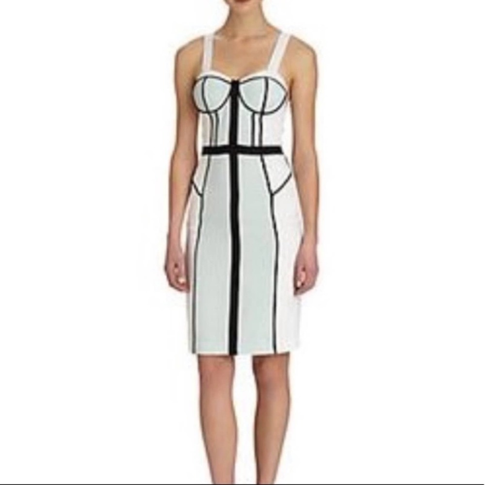 Rebecca Minkoff 100% Silk Bodycon Bustier Dress Size 0